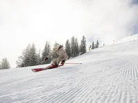 Ein Hotel in Großarl für Aktive | für Genießer | für dich Skifahrer fährt eine Piste im Winterwald hinunter